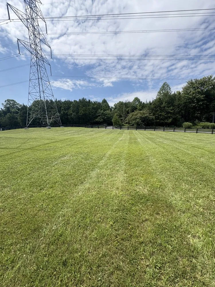 Top-rated lawn mowing service in Jeffersontown, KY - Rojas Contractors and Landscaping