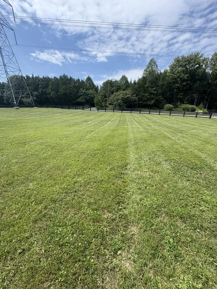 Professional lawn care service experts serving Jeffersontown, KY - Rojas Contractors and Landscaping