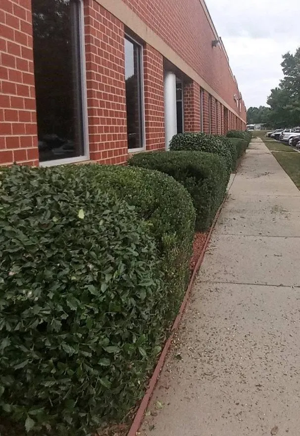 Affordable yard maintenance for outdoor upgrades across Mooresville, NC - Rojas Family Landscaping