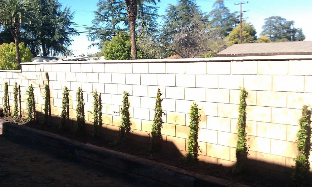 Expert yard cleanup service near you in San Dimas, CA by Rojas Gardening Services