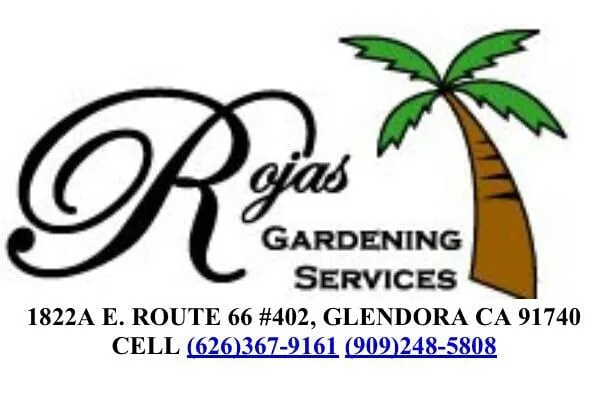 Expert lawn care service for beautiful yards in San Dimas, CA by Rojas Gardening Services