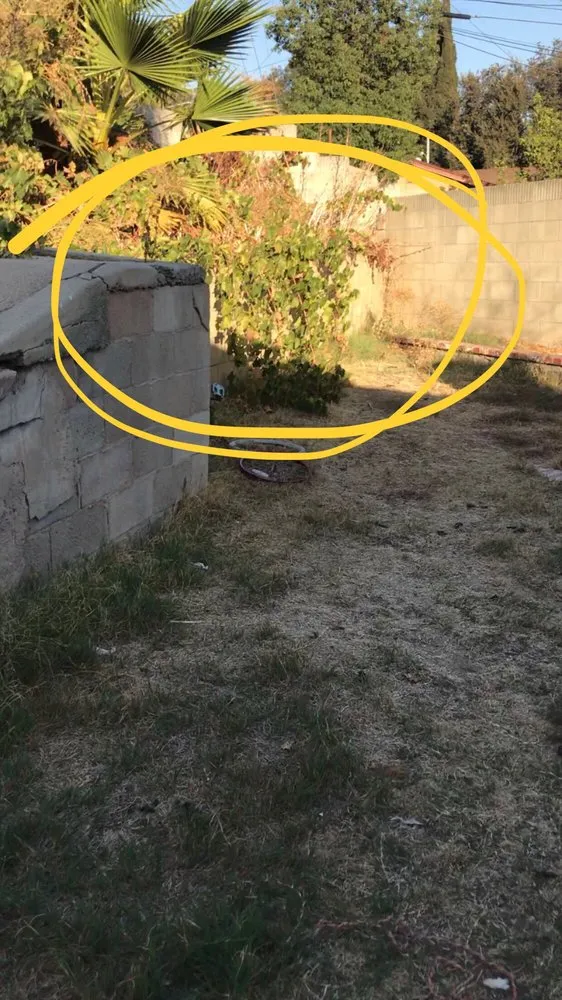 Professional lawn mowing service experts serving San Dimas, CA - Rojas Gardening Services