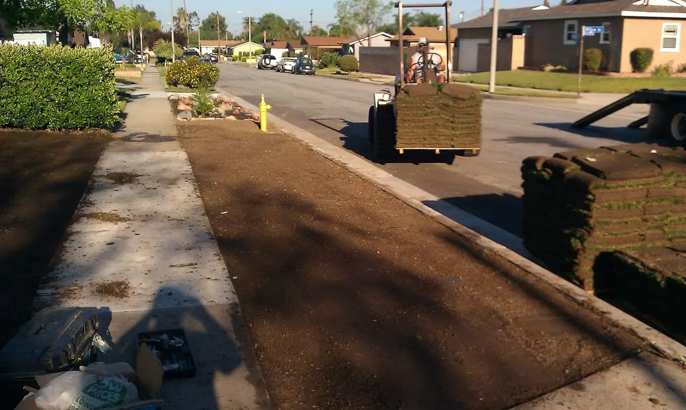 Reliable yard cleanup service for residential properties in San Dimas, CA by Rojas Gardening Services