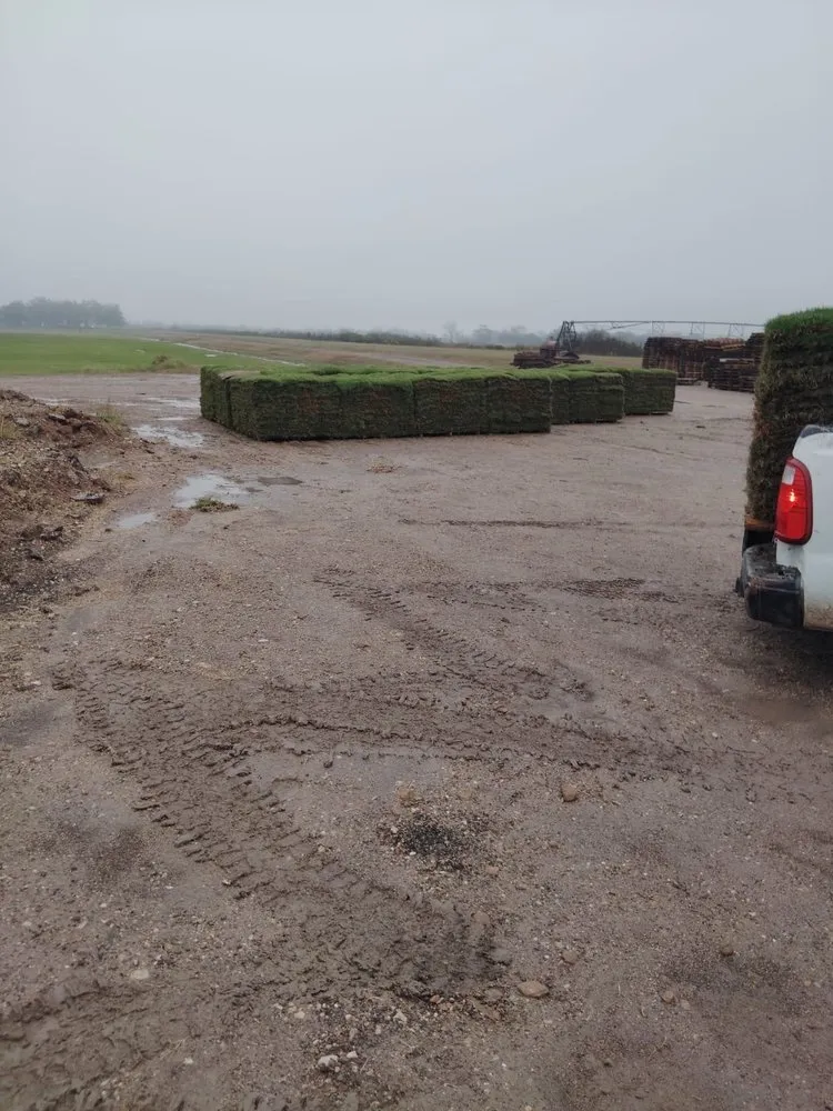 Top-rated landscape installation for beautiful yards in Highlands, TX by Roja’s Greenleaf Landscaping