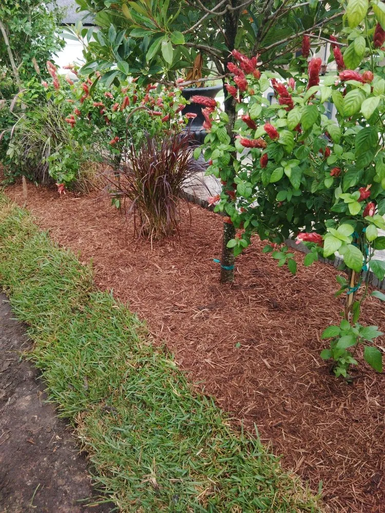 Reliable outdoor landscaping experts serving Highlands, TX - Roja’s Greenleaf Landscaping