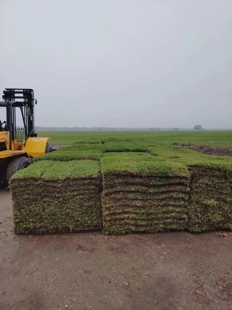 Reliable landscaping services in Highlands, TX - Roja’s Greenleaf Landscaping