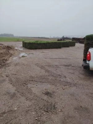 Roja’s Greenleaf Landscaping