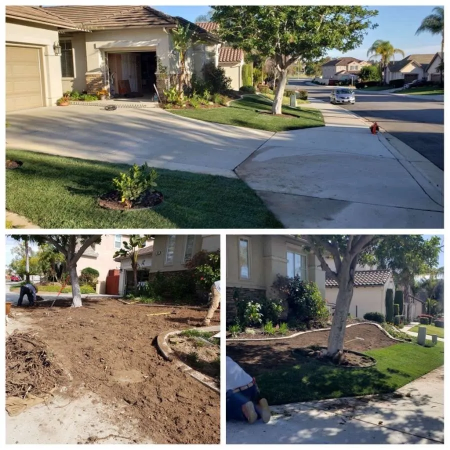 Custom lawn care service for outdoor upgrades across Garden Grove, CA - Rojas Landscape & Maintenance