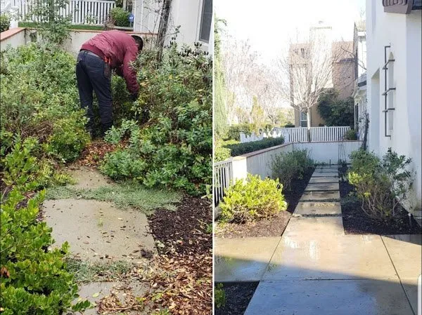 Custom lawn care service experts serving Garden Grove, CA - Rojas Landscape & Maintenance