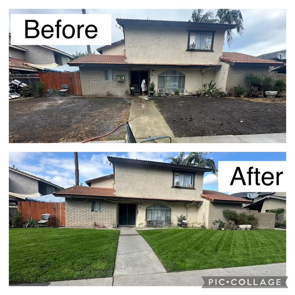 Local outdoor landscaping for year-round maintenance across Garden Grove, CA - Rojas Landscape & Maintenance