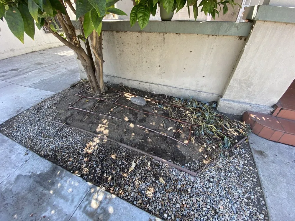 Affordable landscape installation near you across Garden Grove, CA - Rojas Landscape & Maintenance