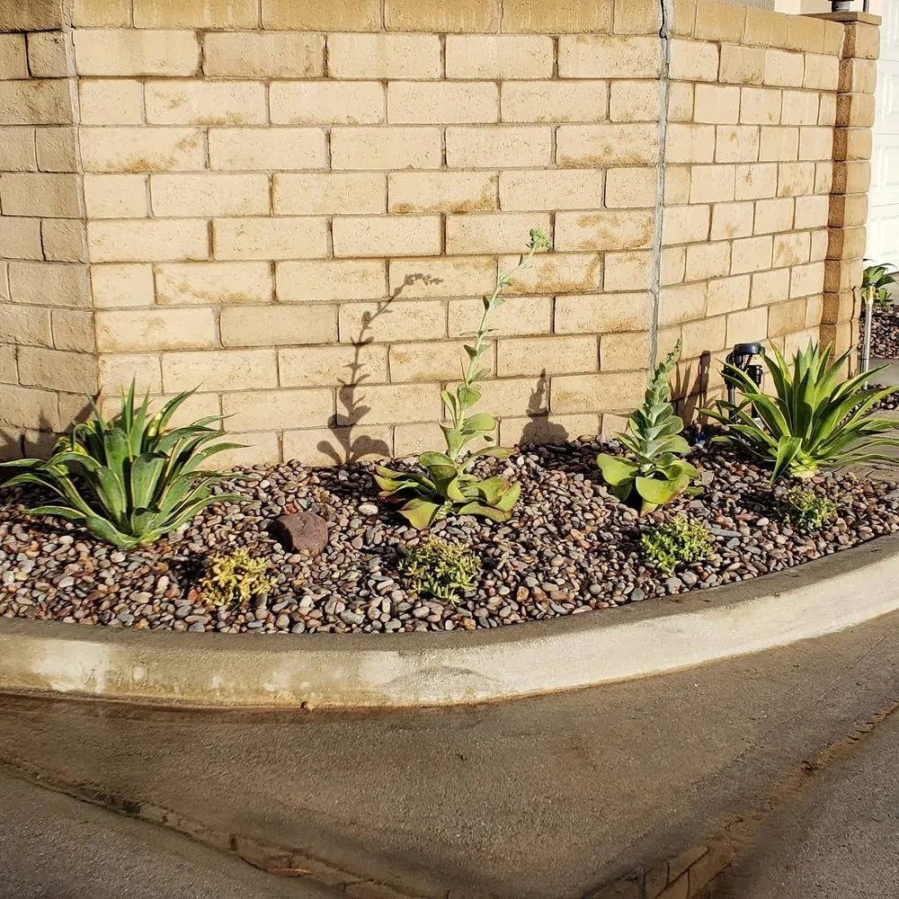 Local yard cleanup service in Garden Grove, CA by Rojas Landscape & Maintenance