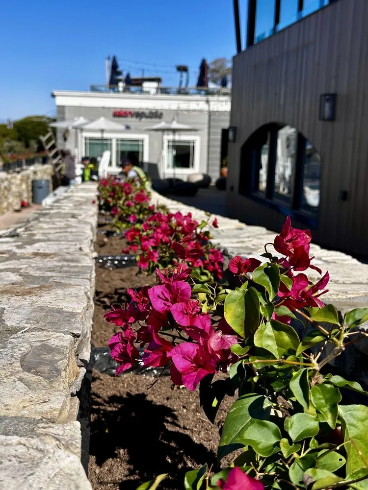 Reliable yard cleanup service for residential properties in Vista, CA by Rojas Landscape Construction