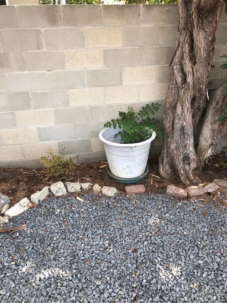 Custom landscaping services with custom design across Vista, CA - Rojas Landscape Construction