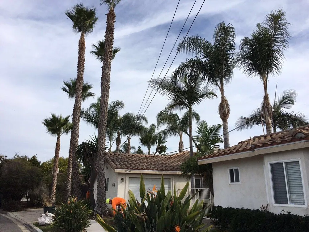 Trusted landscape design experts serving Vista, CA - Rojas Landscape Construction