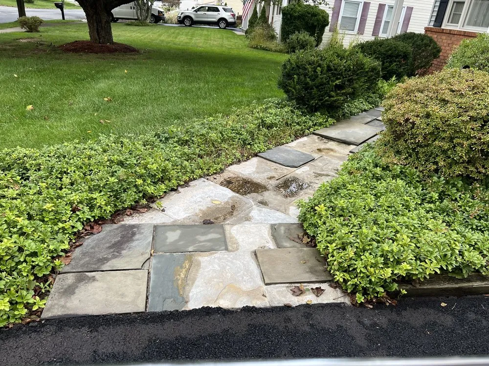 Professional residential landscaping experts serving Vista, CA - Rojas Landscape Construction