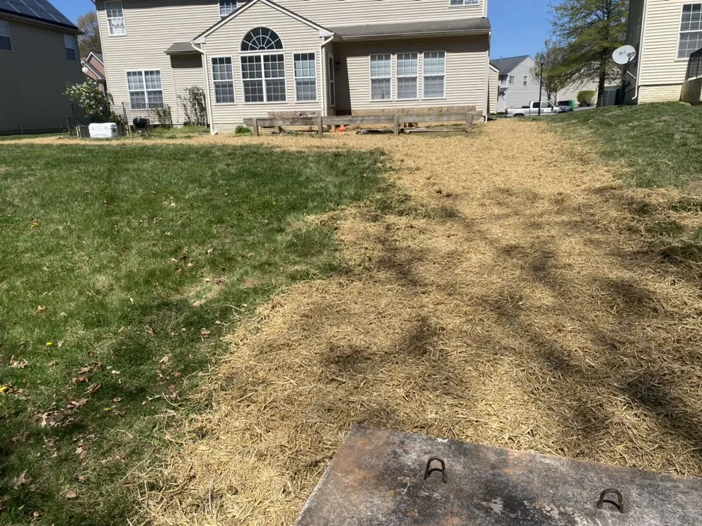 Custom garden landscaping in Laurel, MD - Rojas Landscape