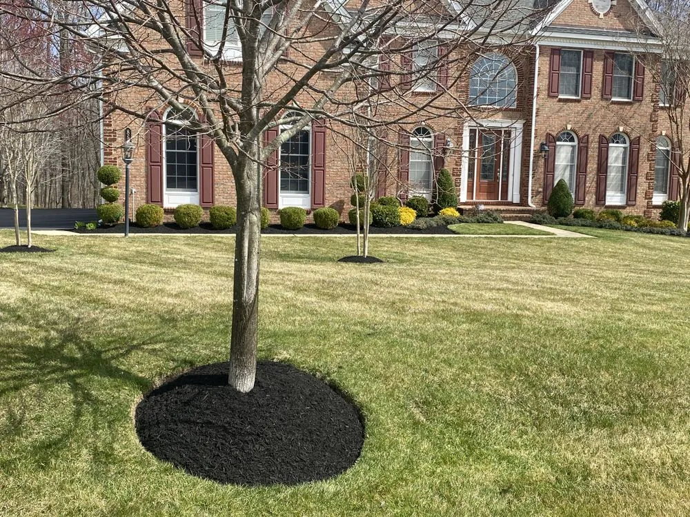Local outdoor landscaping for beautiful yards across Laurel, MD - Rojas Landscape