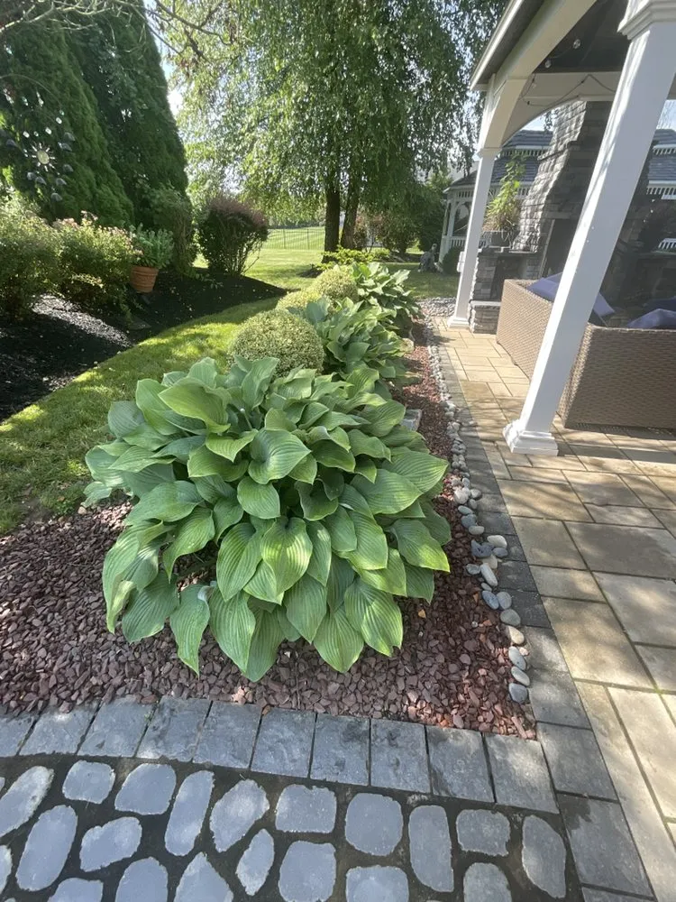 Trusted landscape installation for year-round maintenance across North Brunswick, NJ - Rojas Landscaping & Handyman Services