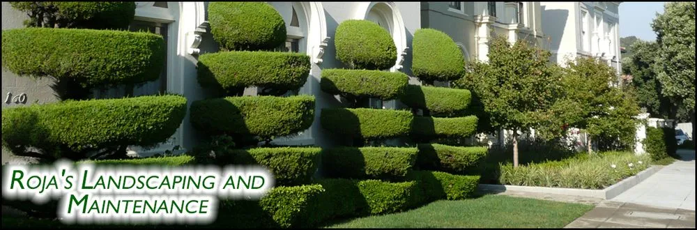 Trusted yard cleanup service experts serving Salinas, CA - Roja's Landscaping and Lawn care