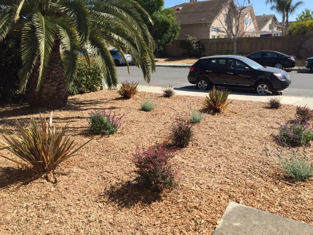 Affordable residential landscaping in Salinas, CA - Roja's Landscaping and Lawn care