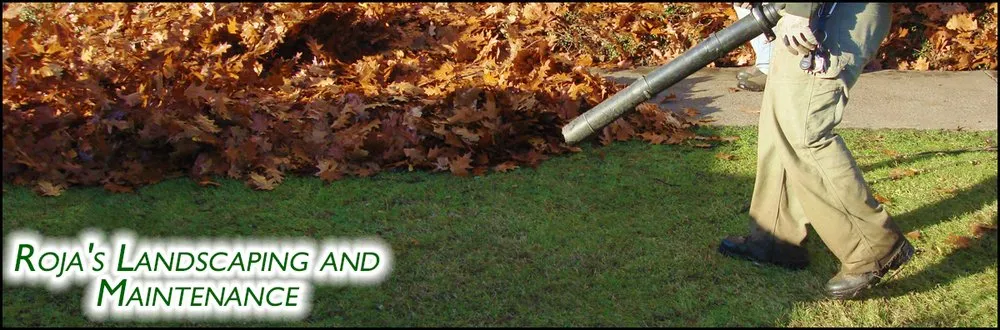 Affordable lawn mowing service experts serving Salinas, CA - Roja's Landscaping and Lawn care