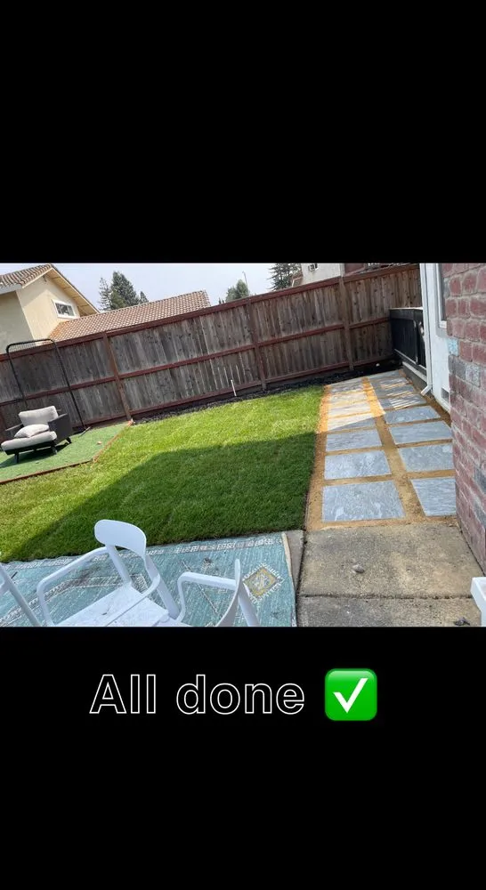 Professional yard cleanup service experts serving Petaluma, CA - Rojas Landscaping Junk Removal