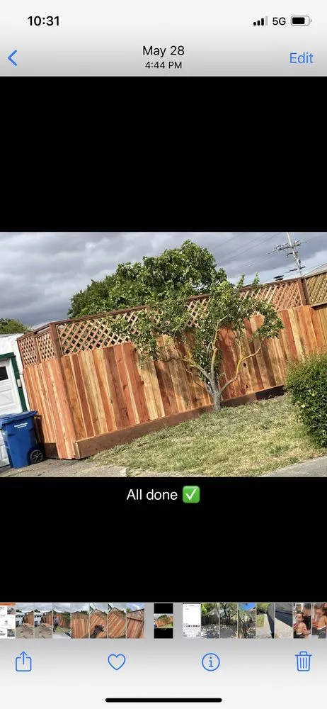 Local yard maintenance for outdoor upgrades in Petaluma, CA by Rojas Landscaping Junk Removal