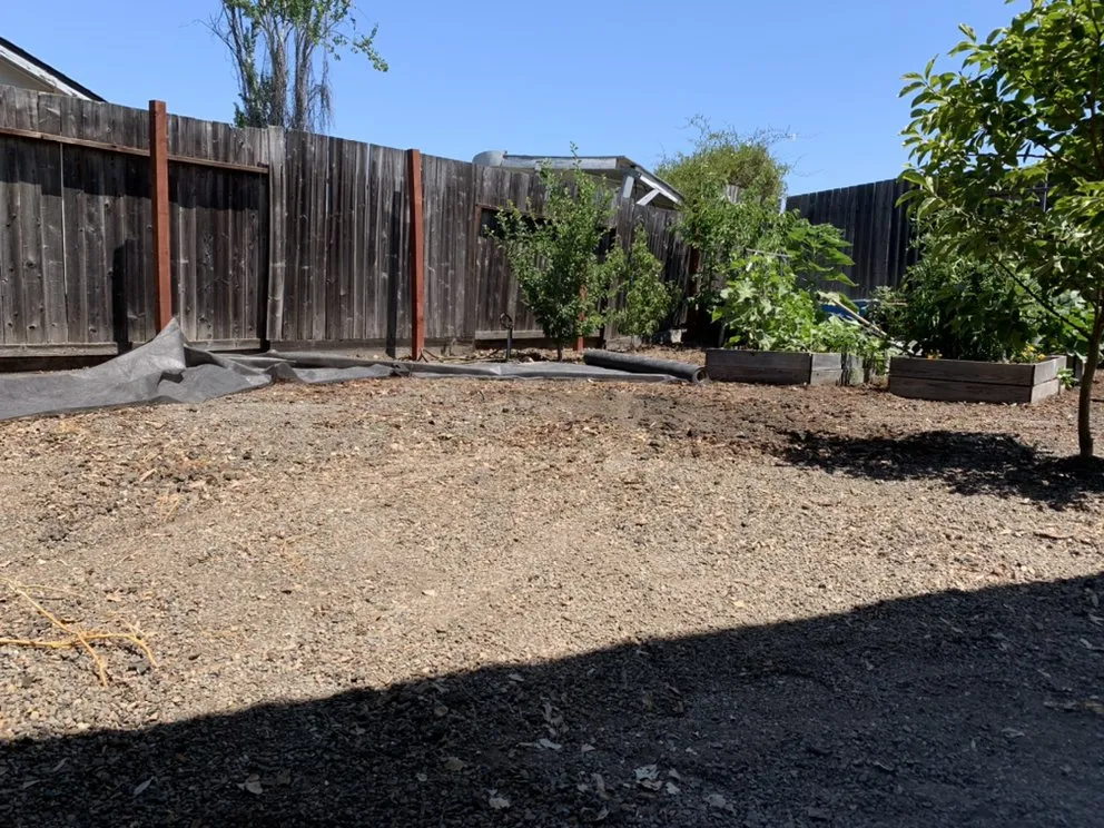 Top-rated lawn mowing service for residential properties across Petaluma, CA - Rojas Landscaping Junk Removal