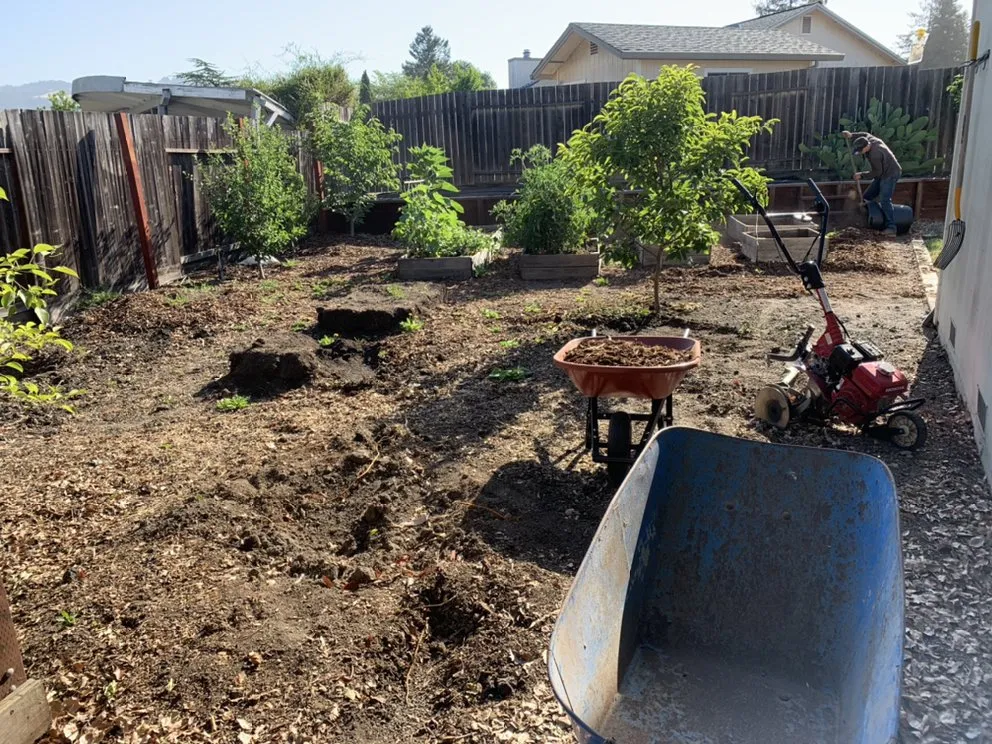 Local yard maintenance for homes in Petaluma, CA by Rojas Landscaping Junk Removal