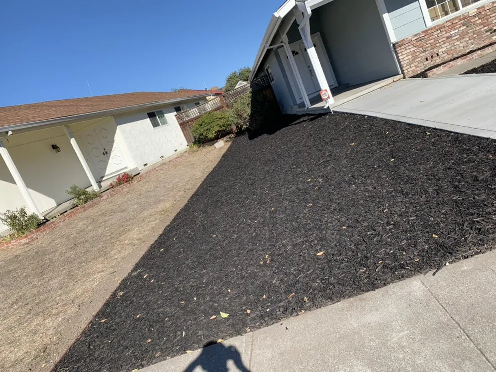 Affordable yard cleanup service for beautiful yards across Petaluma, CA - Rojas Landscaping Junk Removal