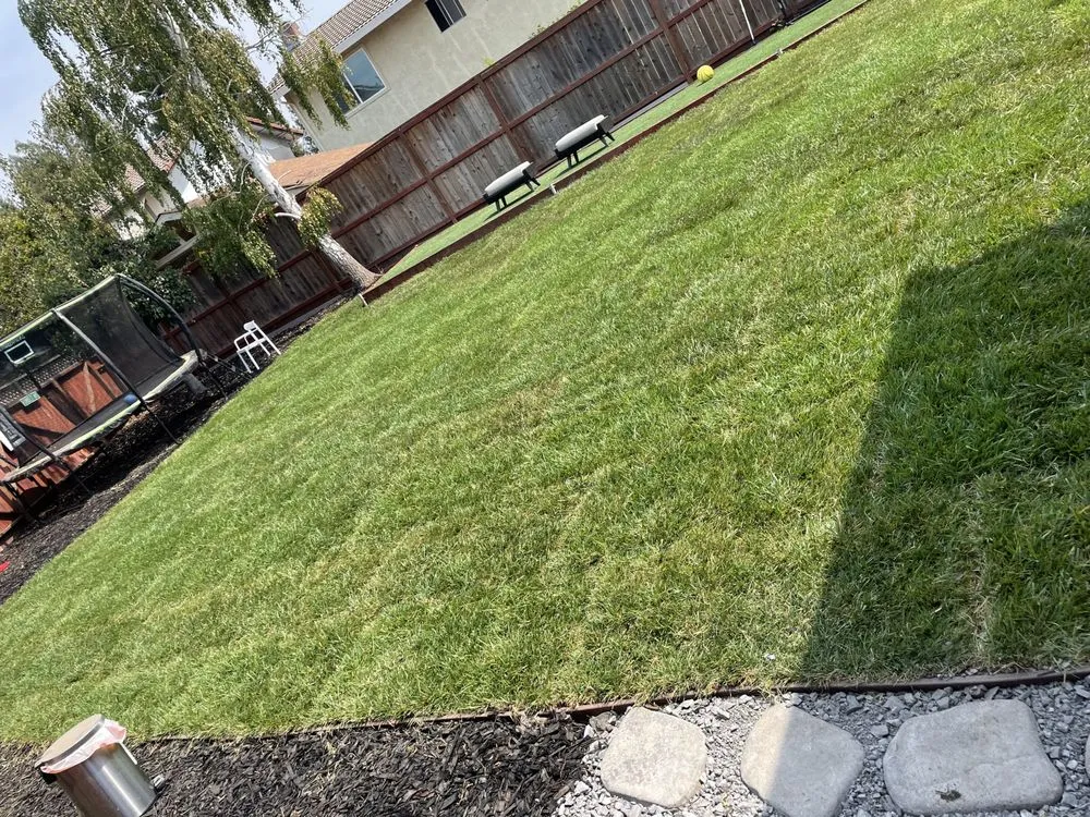 Top-rated yard maintenance with custom design in Petaluma, CA by Rojas Landscaping Junk Removal
