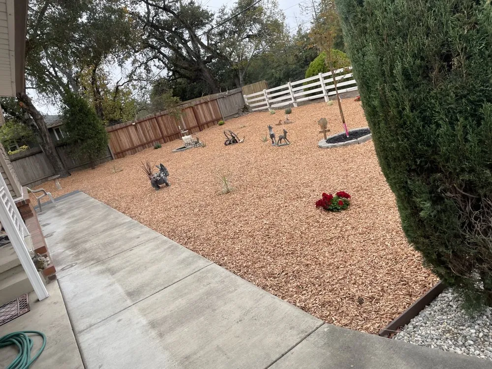 Professional residential landscaping experts serving Petaluma, CA - Rojas Landscaping Junk Removal