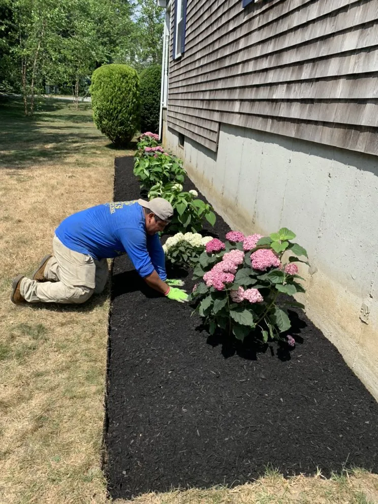 Affordable yard cleanup service in Middletown, RI by Rojas Landscaping