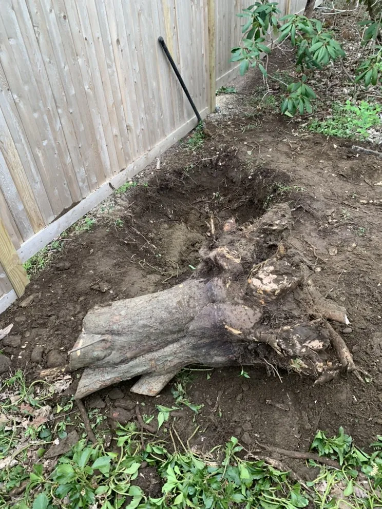 Top-rated landscape installation in Middletown, RI - Rojas Landscaping