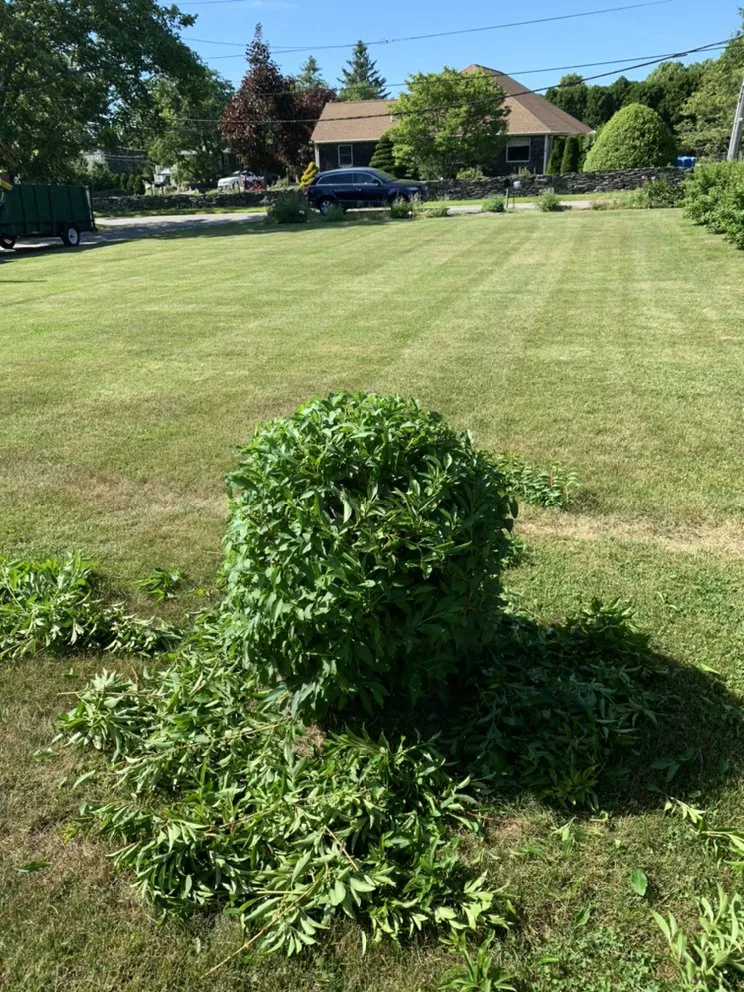Professional landscaping services in Middletown, RI - Rojas Landscaping