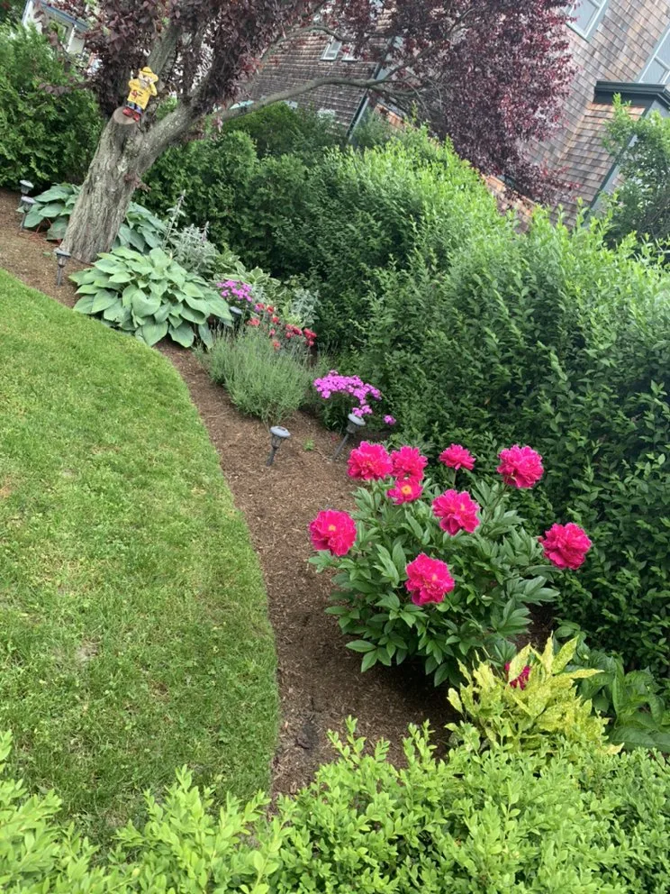 Top-rated yard cleanup service for residential properties in Middletown, RI by Rojas Landscaping