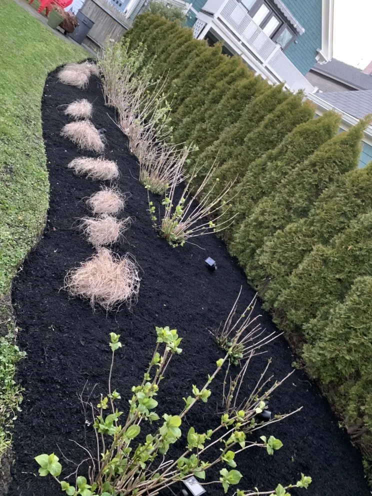 Professional landscaping services for year-round maintenance in Middletown, RI by Rojas Landscaping