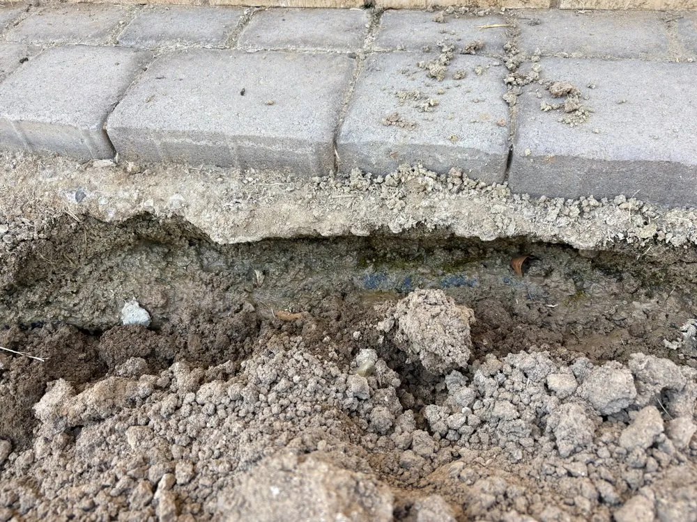 Professional garden landscaping in Phoenix, AZ - Rojas Landscaping