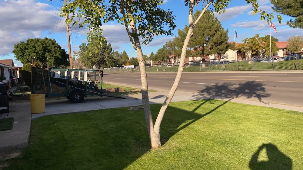 Affordable garden landscaping in Phoenix, AZ - Rojas Landscaping