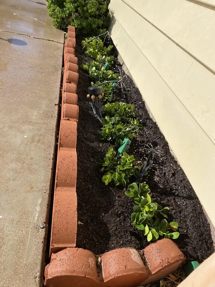 Reliable yard cleanup service for year-round maintenance across Phoenix, AZ - Rojas Landscaping