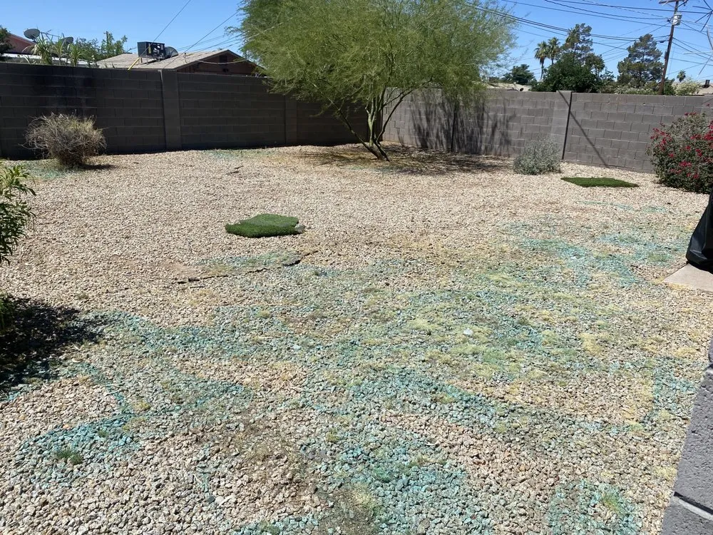 Custom landscaping services for beautiful yards across Phoenix, AZ - Rojas Landscaping
