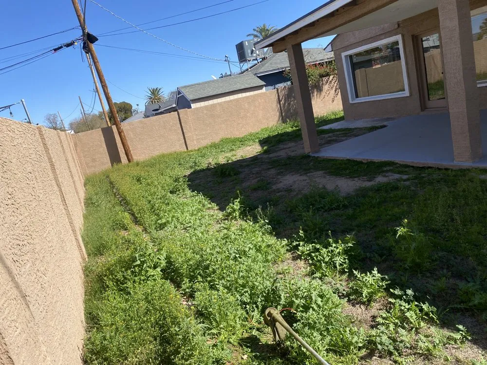 Expert outdoor landscaping in Phoenix, AZ by Rojas Landscaping