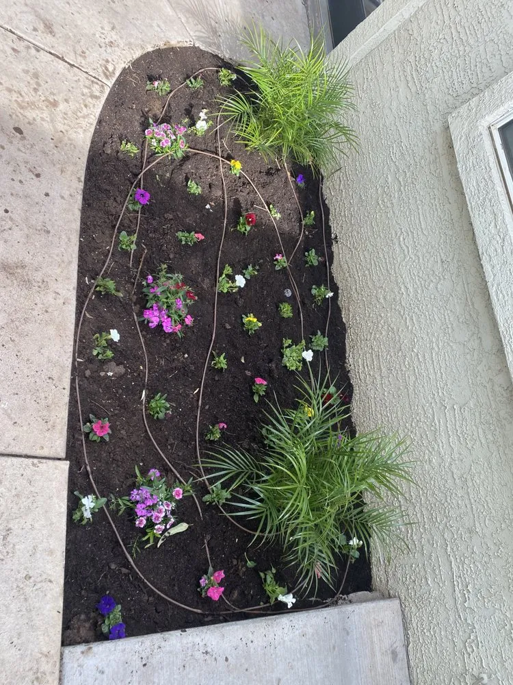 Affordable landscape installation experts serving Phoenix, AZ - Rojas Landscaping