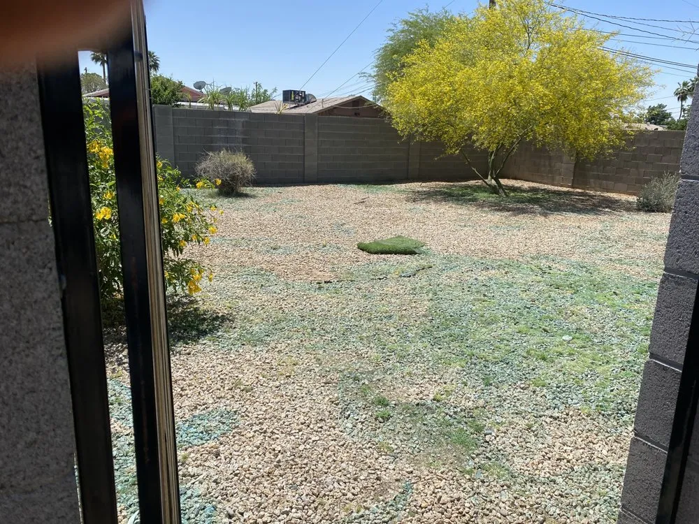 Expert garden landscaping for homes in Phoenix, AZ by Rojas Landscaping