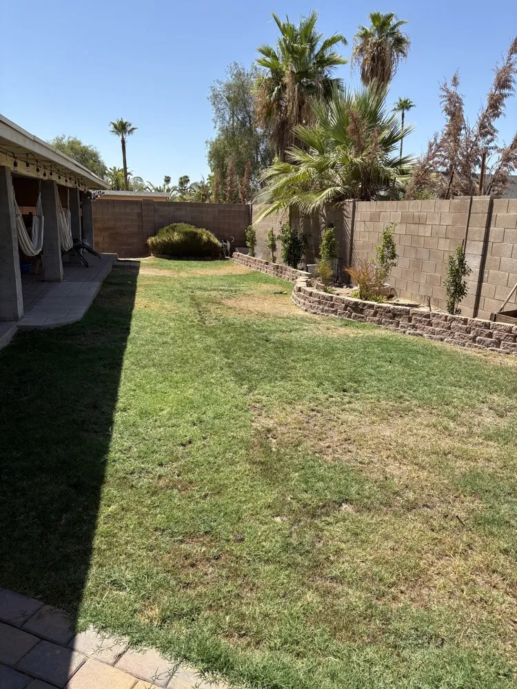Trusted yard maintenance experts serving Phoenix, AZ - Rojas Landscaping
