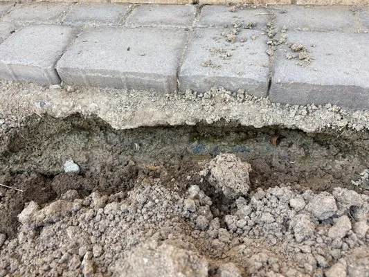 Rojas Landscaping Logo