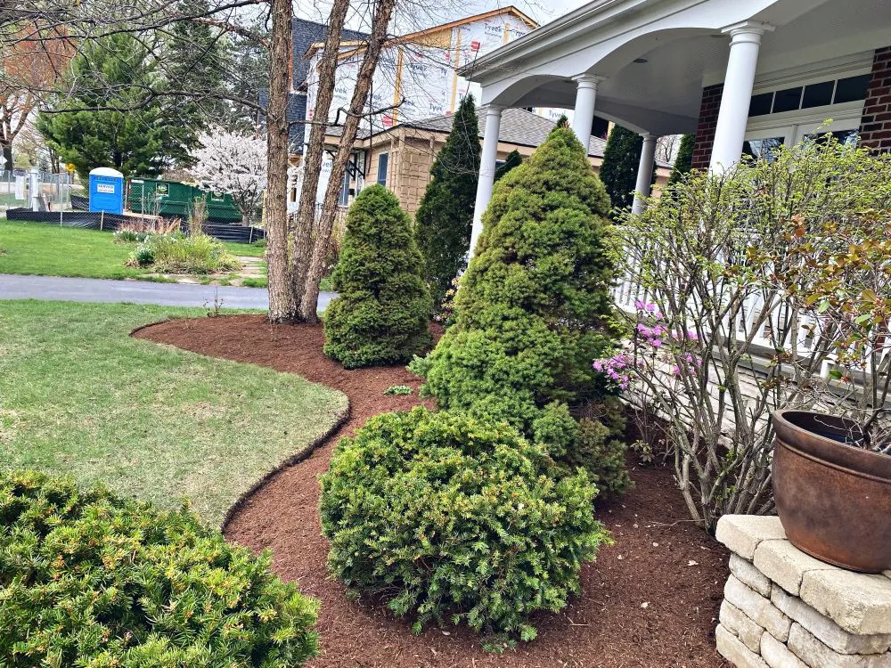 Trusted landscaping services experts serving Westmont, IL - Roja's Landscaping