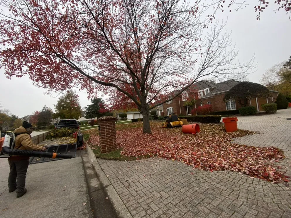 Expert outdoor landscaping near you in Westmont, IL by Roja's Landscaping