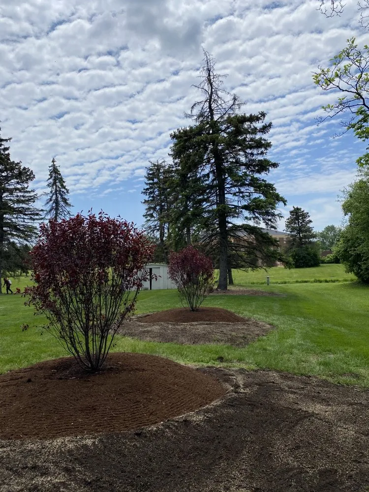Reliable landscaping services experts serving Westmont, IL - Roja's Landscaping